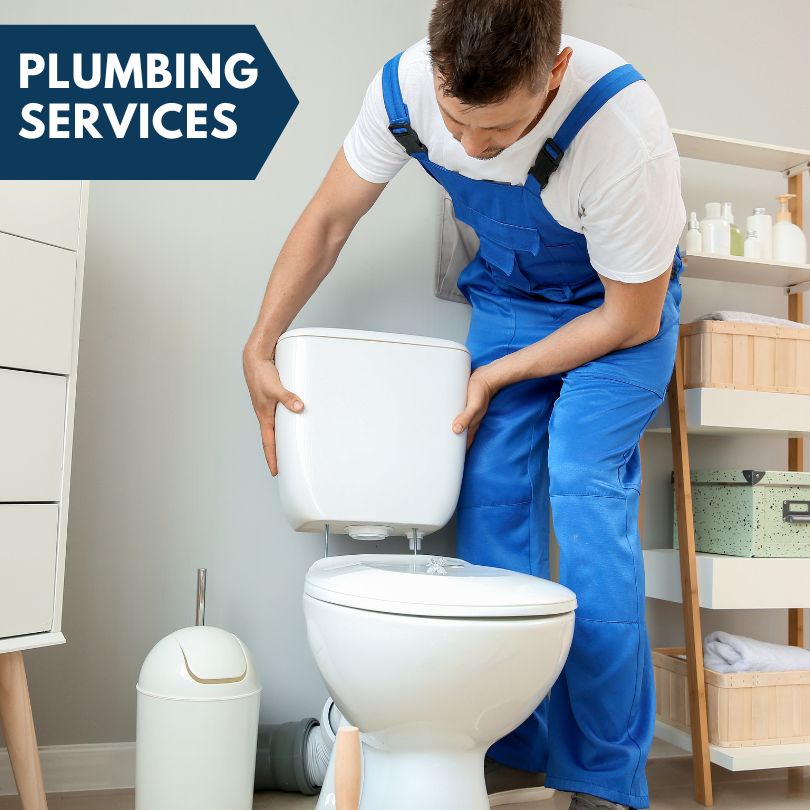 Plumbing Company in Berrien Springs, MI